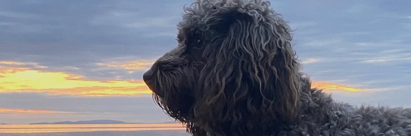 OliverRoper_'s profile banner image