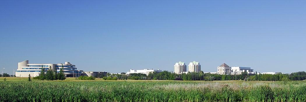 Andrea Sterzuk banner