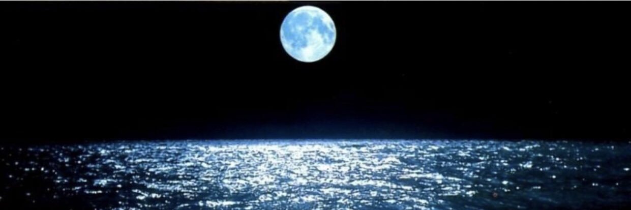 يحيى المحيريق banner