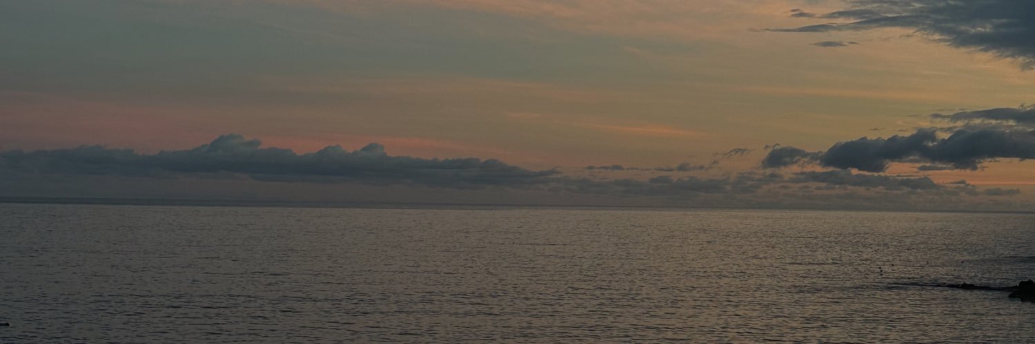 Sarinha95's profile banner image