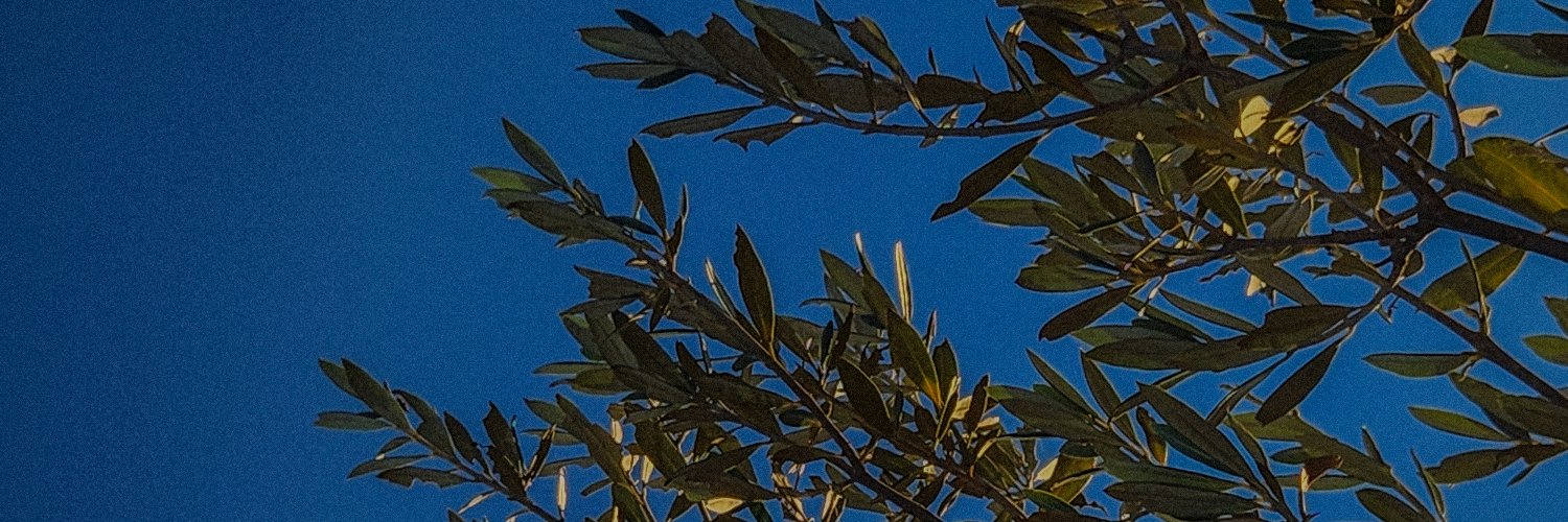 peppermint_xd's profile banner image
