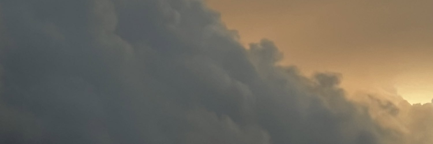 terracedreaming's profile banner image
