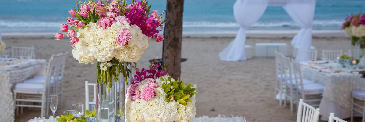 TropicalW's profile banner image