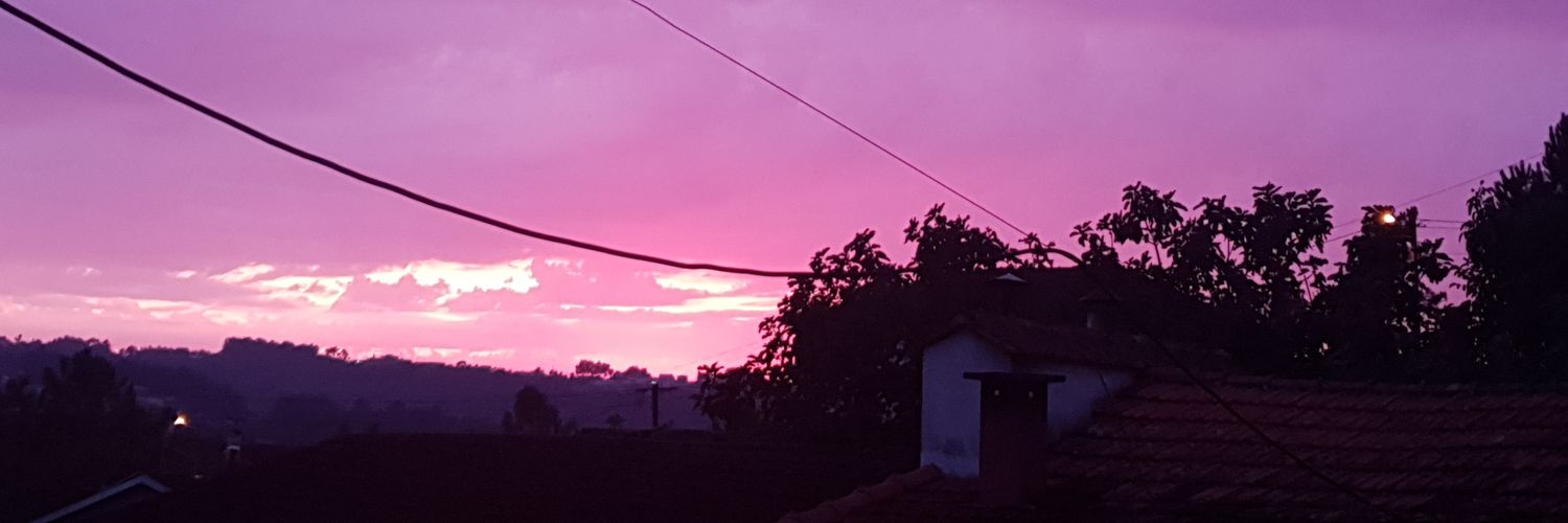 FilipaTuga's profile banner image