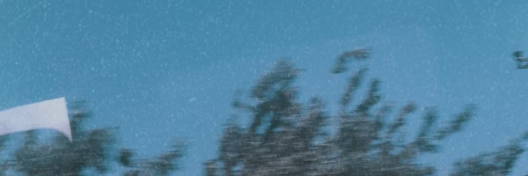 ceydacakaar's profile banner image