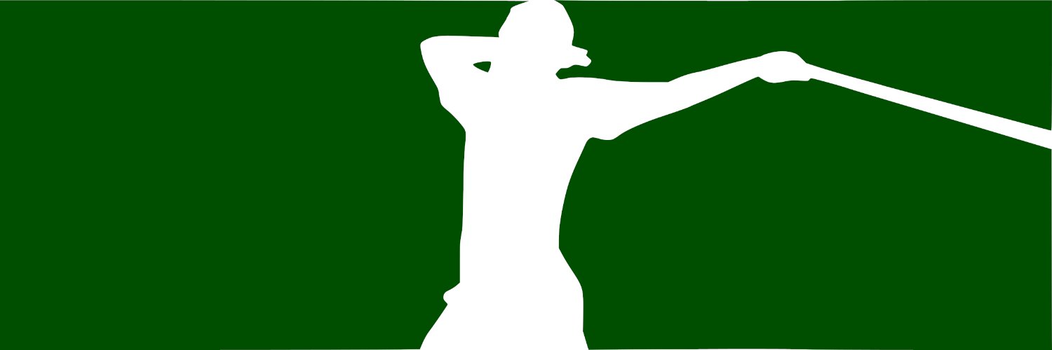 Wiffle in SE MI banner
