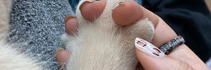 Fire69c's profile banner image