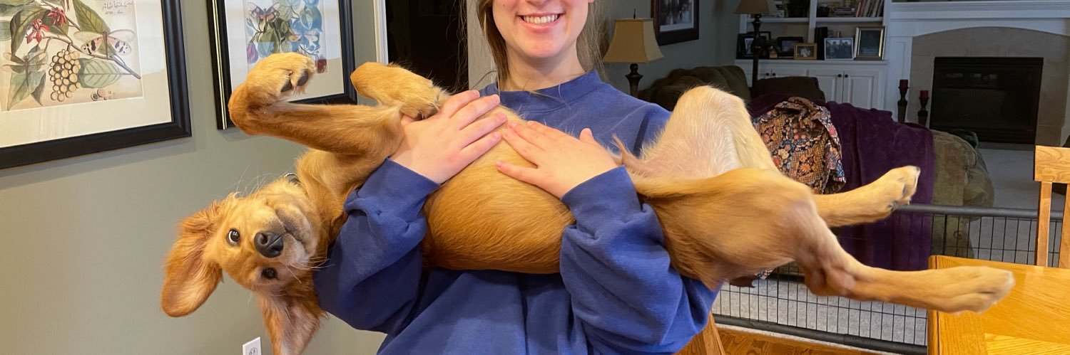 NicoleHefty's profile banner image