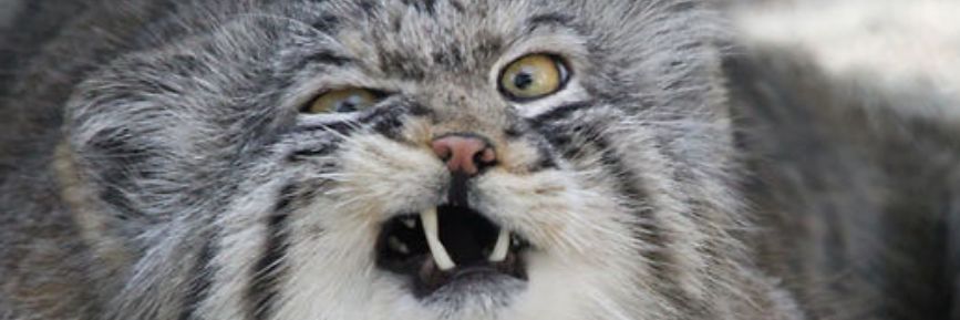 luvinkpenz's profile banner image