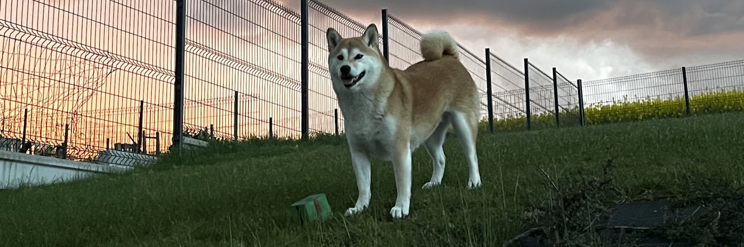 MaxenceHrtlt's profile banner image
