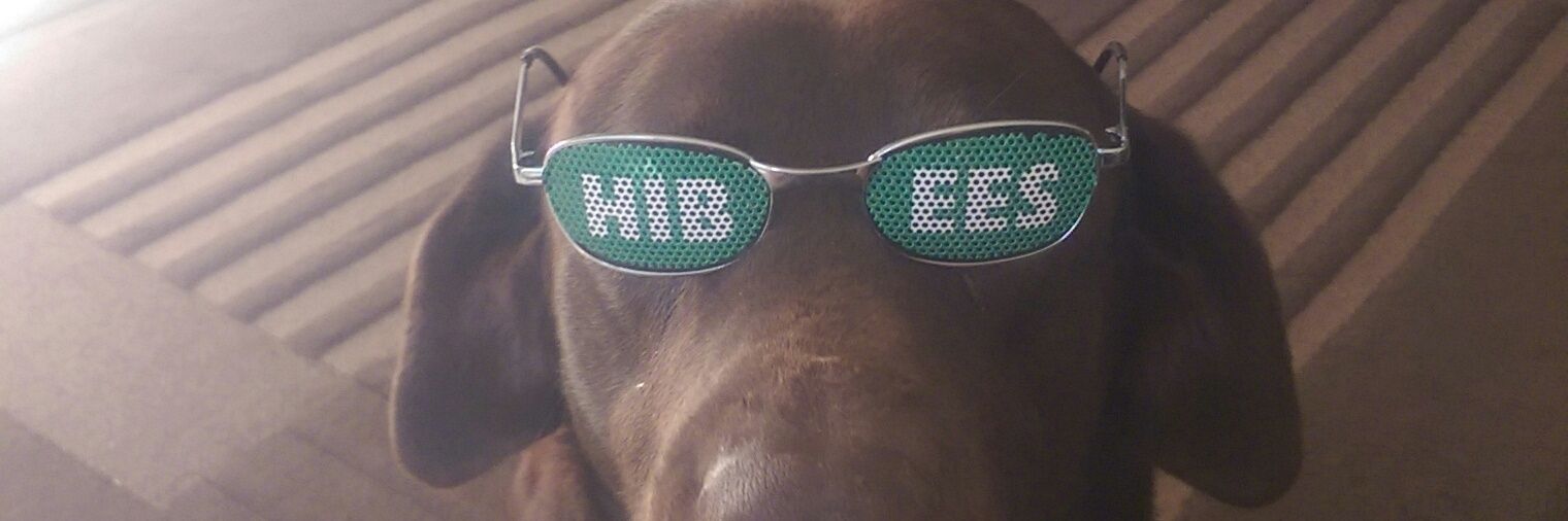 greg anderson banner