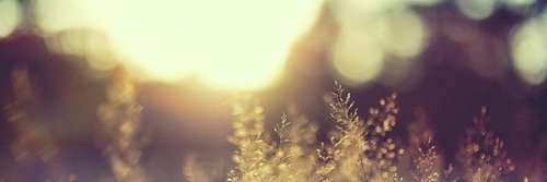 Srmoffitt's profile banner image
