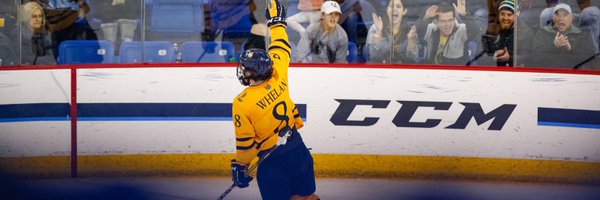 TheWhale18 Profile Banner