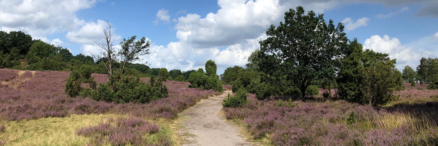 Weg zur Wahrheit banner