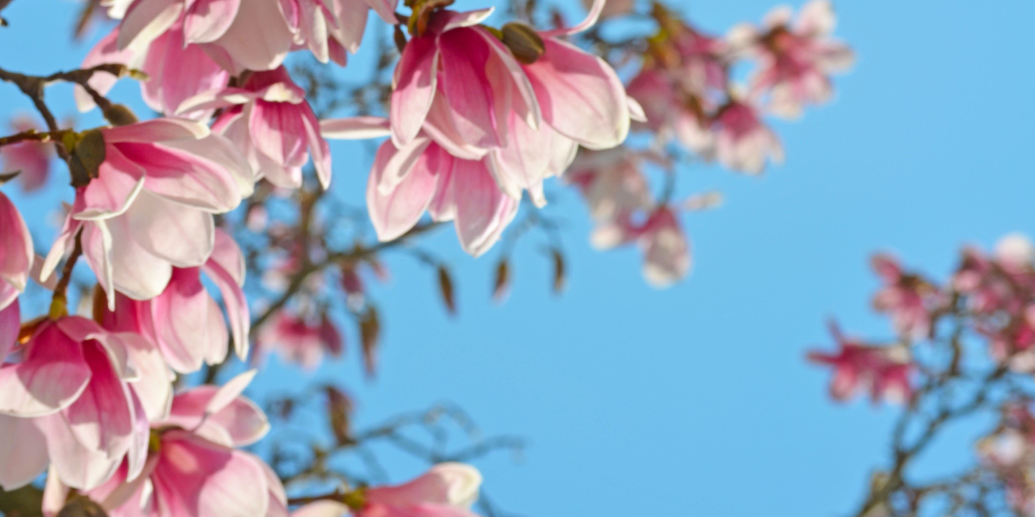 nati_e's profile banner image