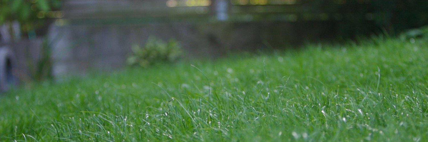 Mark Paluch 🦋 👨‍💻,🎹&🚑 banner