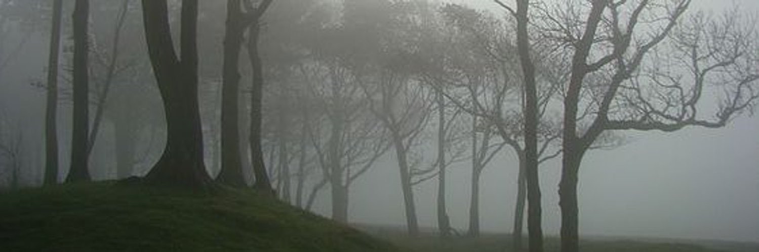 طارق banner