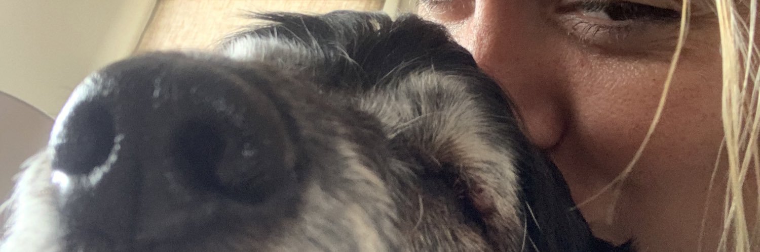 Camilleccry's profile banner image