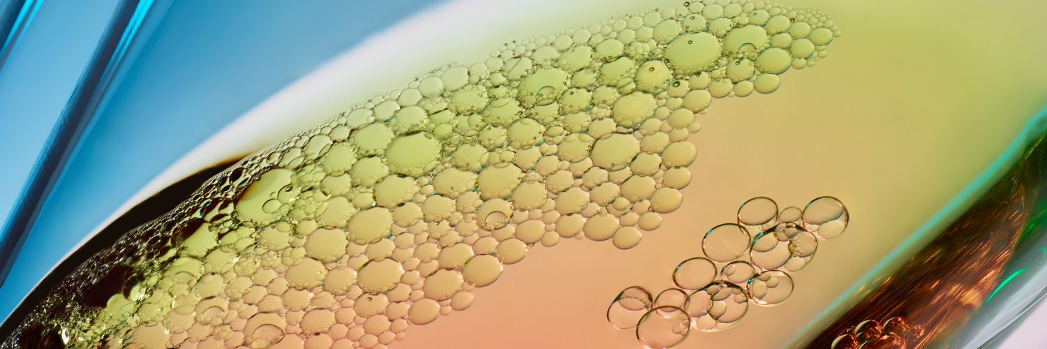 Modern Meadow banner