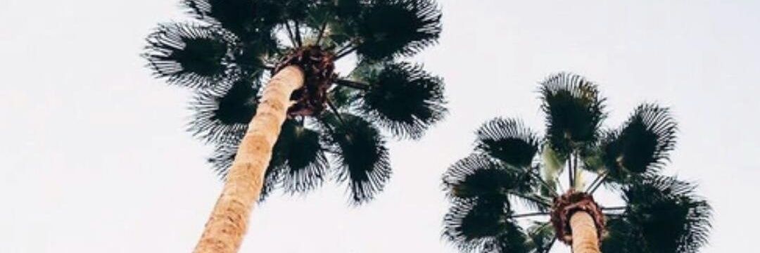 x_benthee's profile banner image