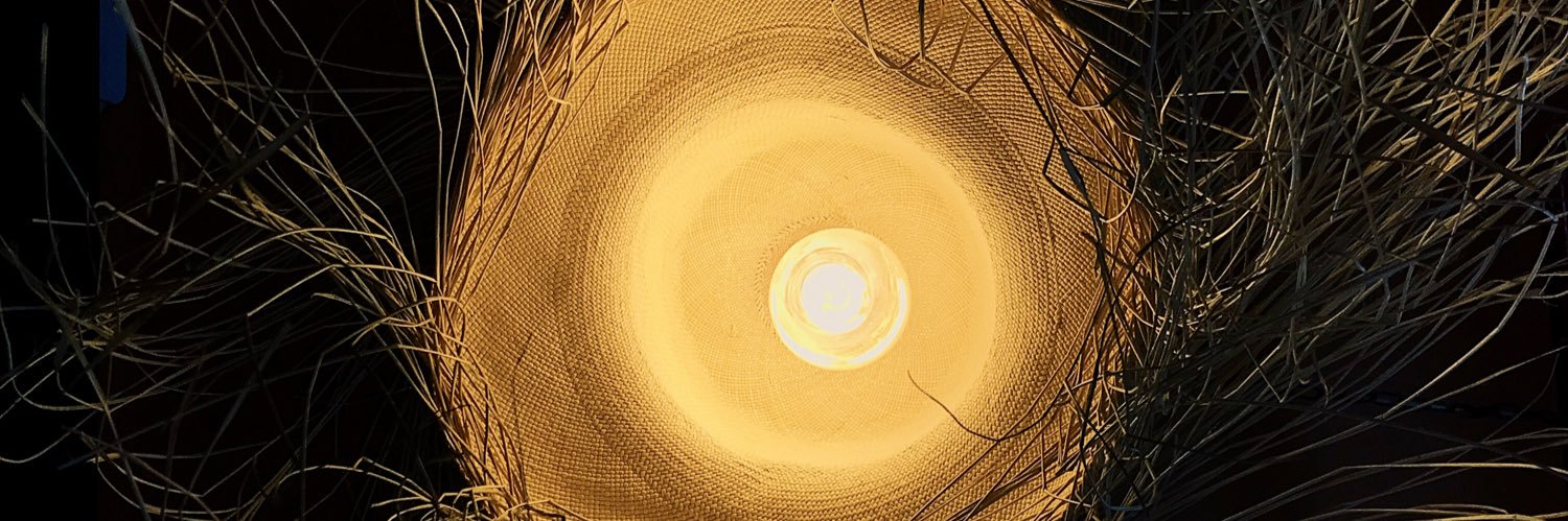 annuca's profile banner image