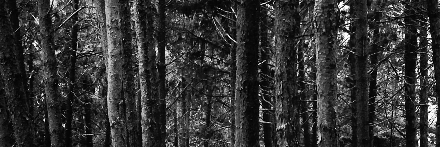 YMariAle1's profile banner image