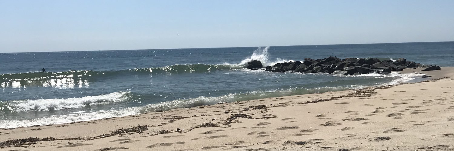 ssteinman2's profile banner image