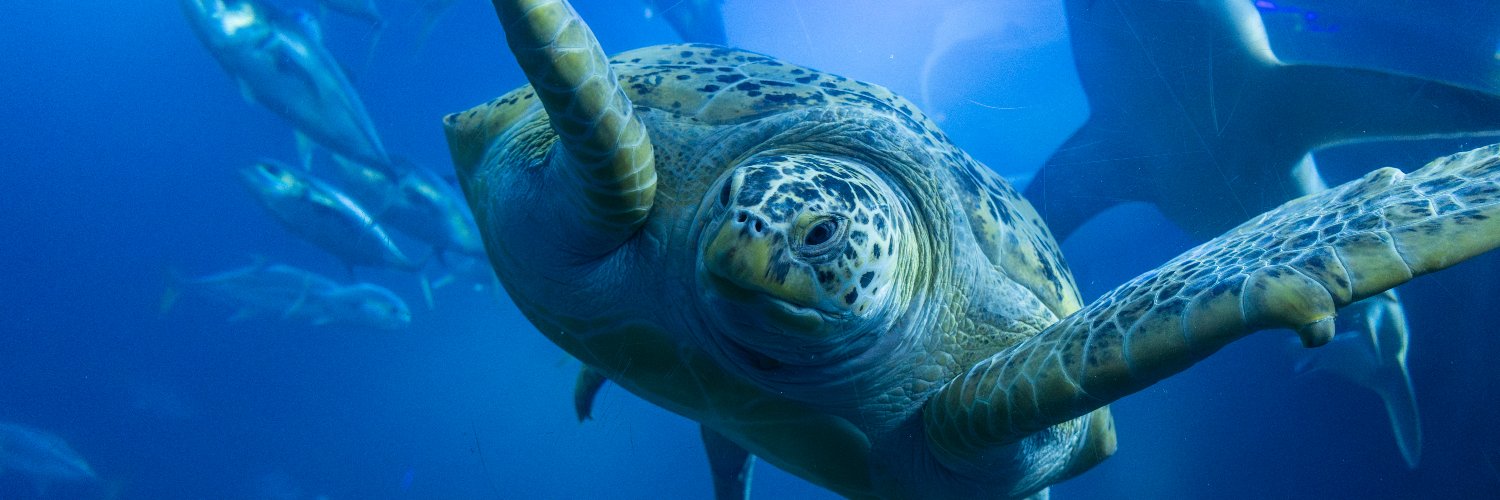 NMAPlymouth's profile banner image