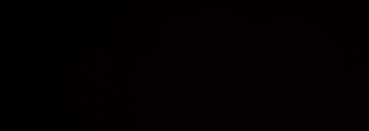 melichavez3's profile banner image