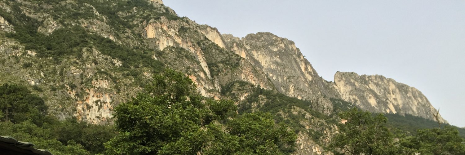 raulalanism's profile banner image