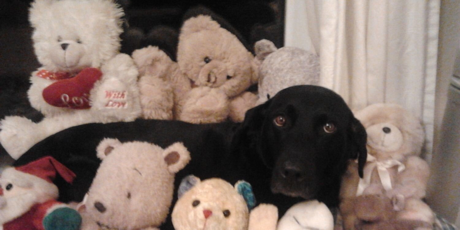 Jackie 🇬🇧🏴󠁧󠁢󠁥󠁮󠁧󠁿 🇺🇸 banner