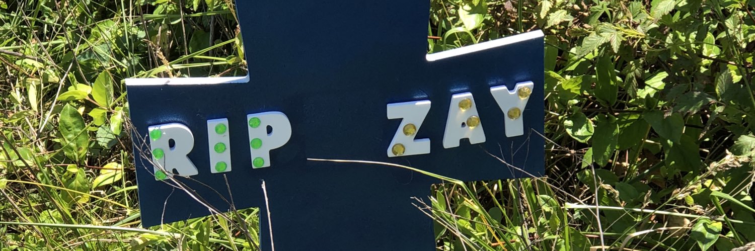 LordKingAzus1's profile banner image