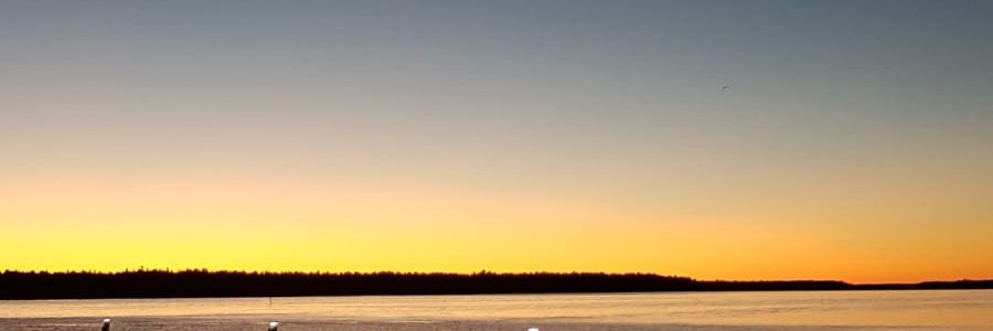 hellodearmaria's profile banner image