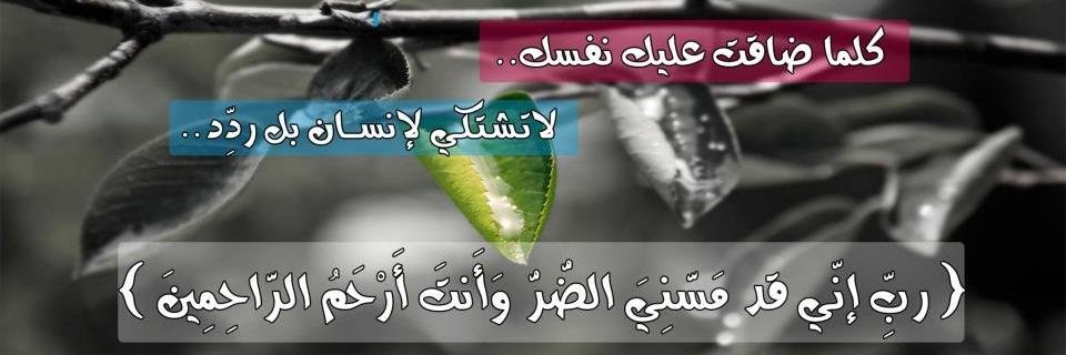 008244211's profile banner image