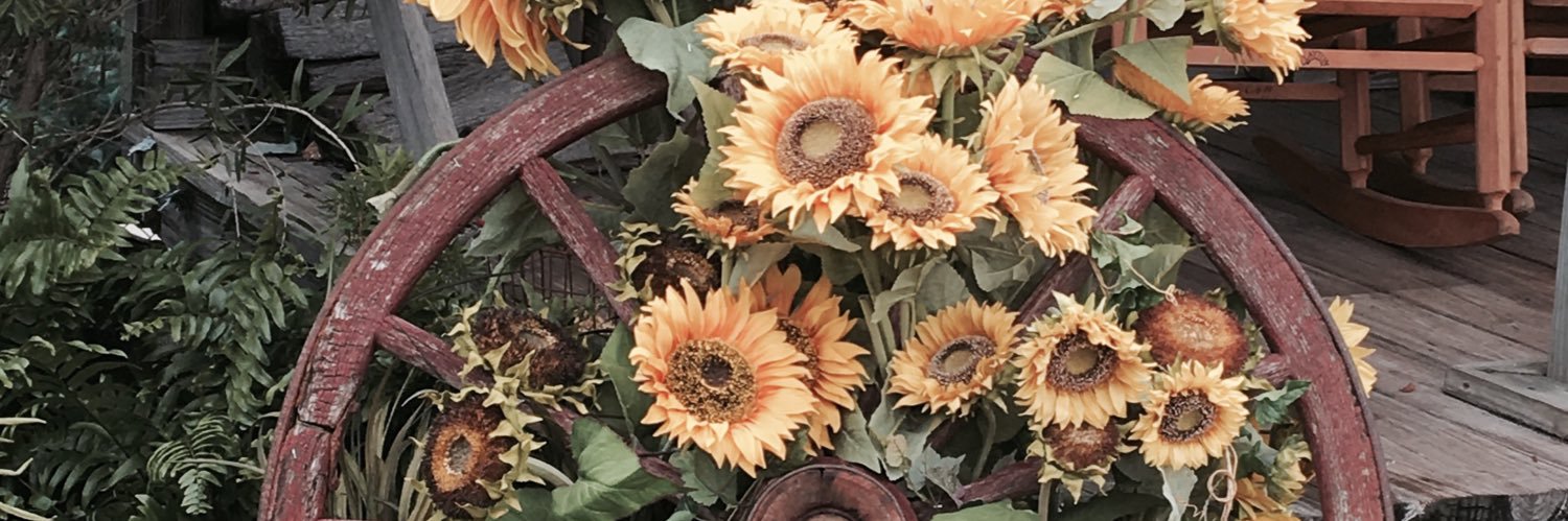 MeghanDumas's profile banner image