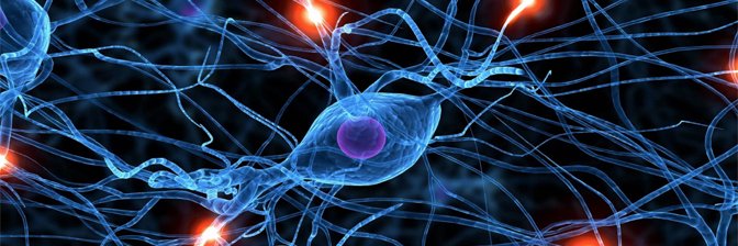 Nikhil Dandekar banner