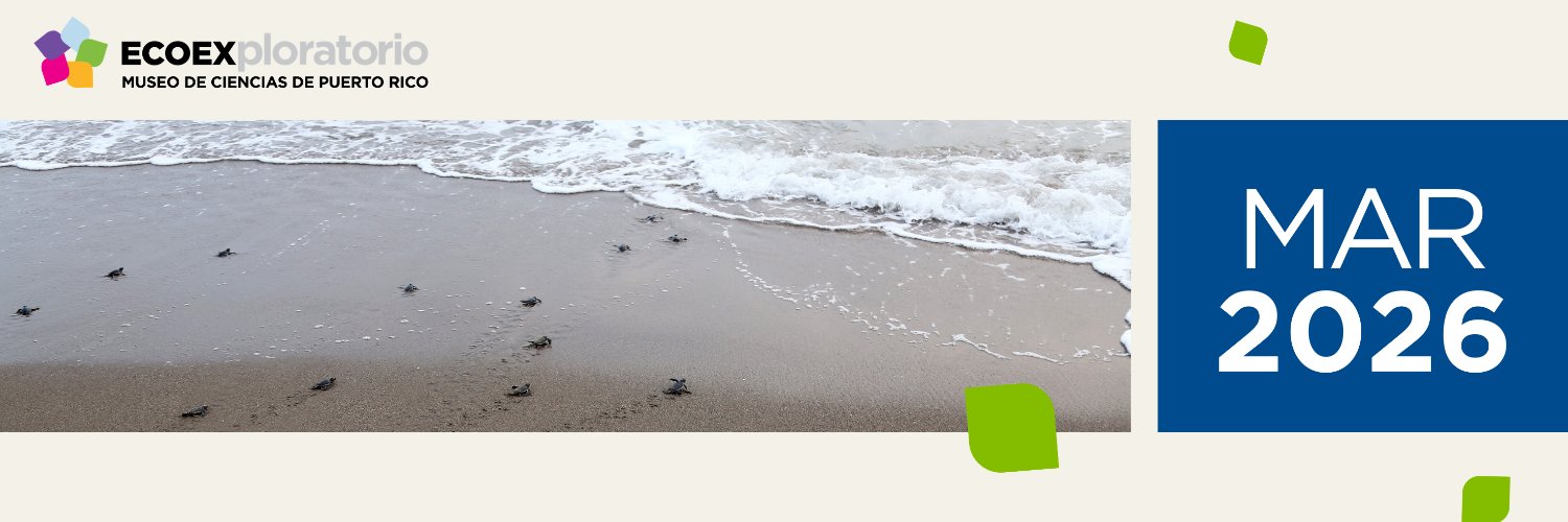 ECOEXPLORATORIO banner