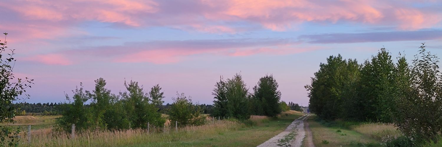 jmneave's profile banner image