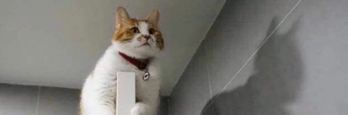 Hussnain shah banner