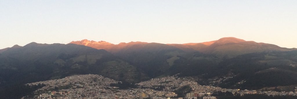 michelcisneros's profile banner image