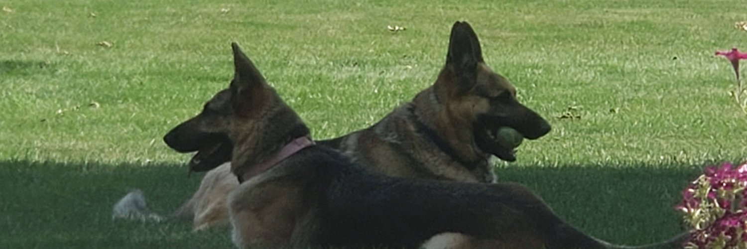 JayBrunswick's profile banner image
