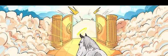 CryptoHelsi's profile banner image