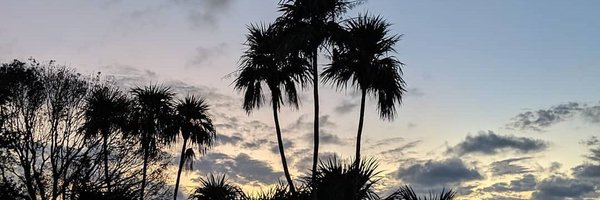 doctajones_ Profile Banner