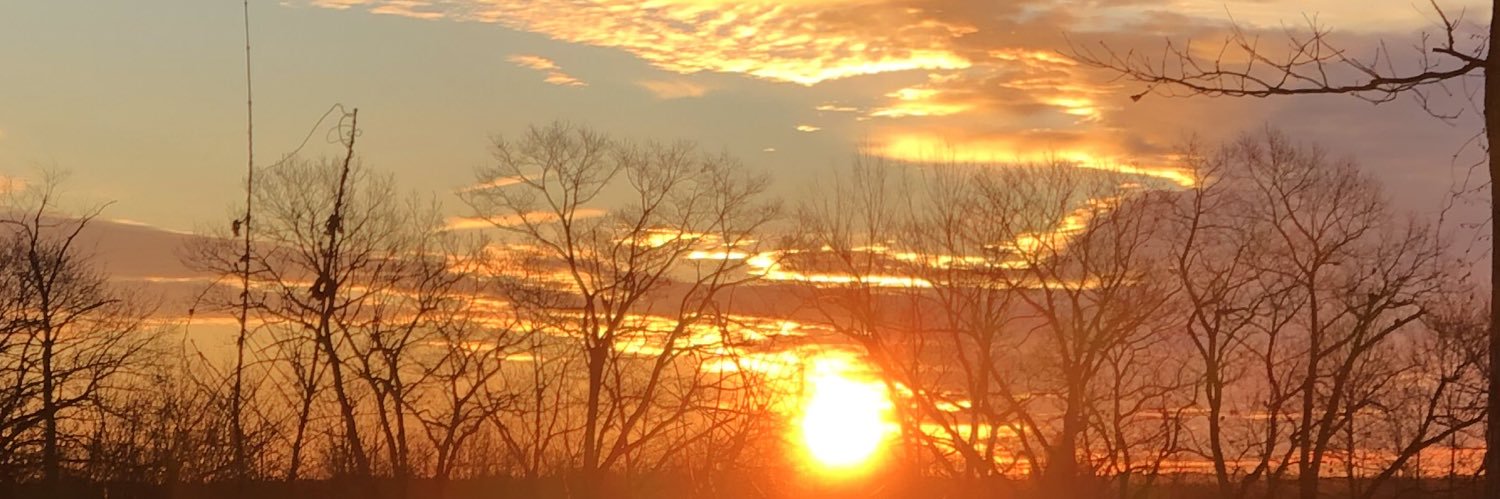 lilsunshinebabe's profile banner image