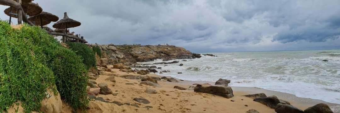 البشرى🕊💜 banner