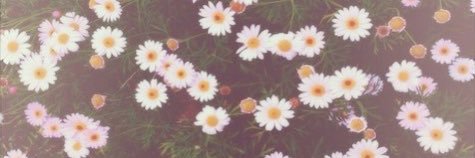 Mercabet's profile banner image