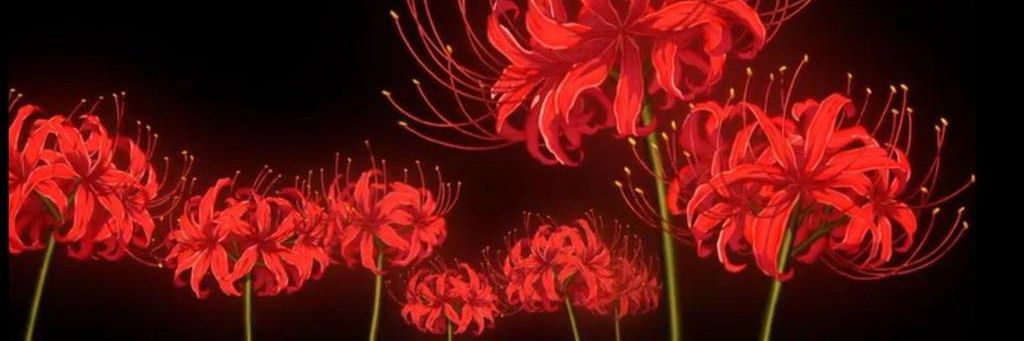 PierreLry's profile banner image