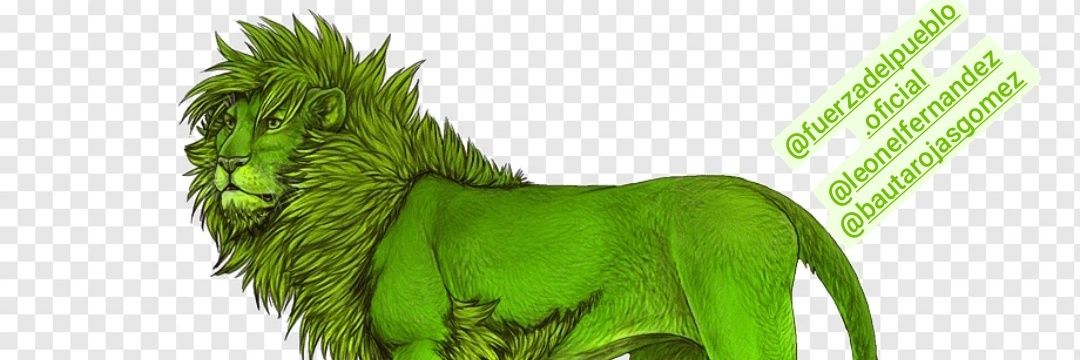 YASB1307's profile banner image