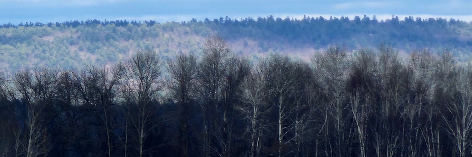 SdaCarson's profile banner image