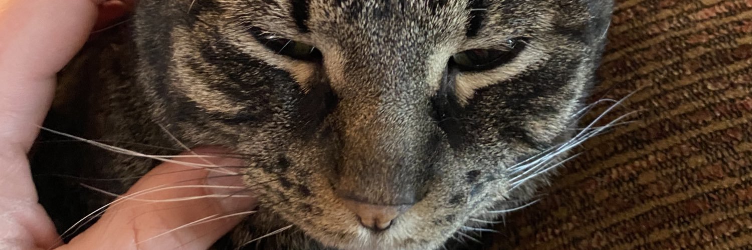 tdog7z's profile banner image